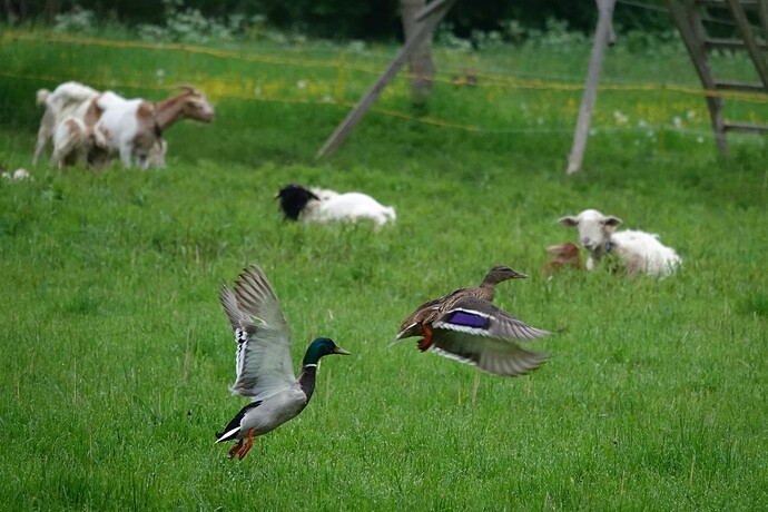 DSC03569