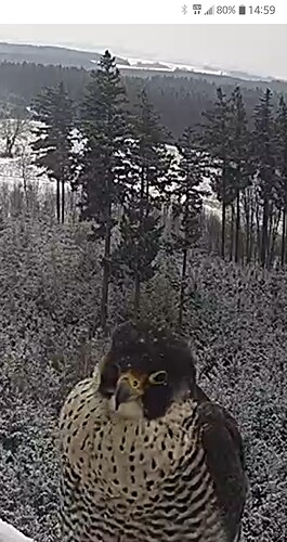 Capture+_2023-01-21-14-59-50