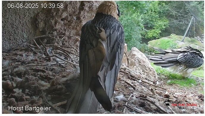 Screenshot_20250806-104104~2