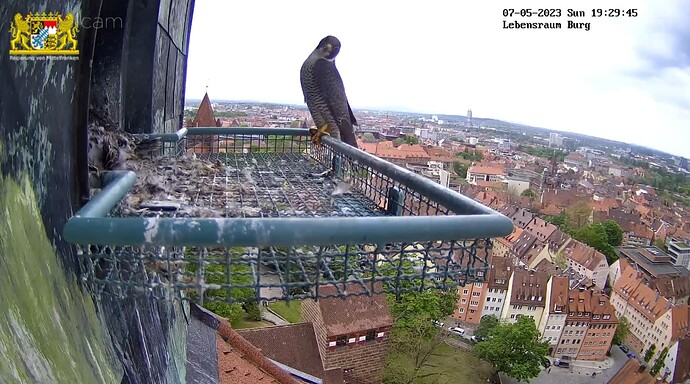 Screenshot_20230507-193009_Samsung Internet