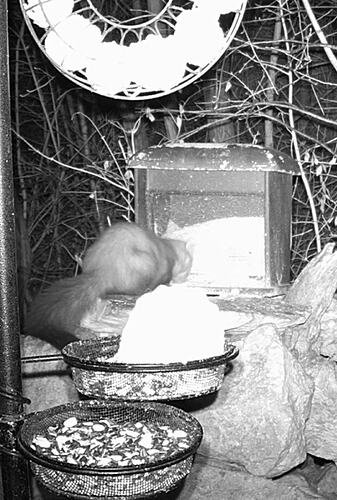 IMG_20260123_200832