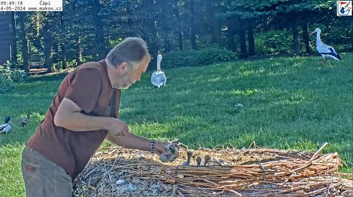 Screenshot_2024-05-14-09-59-23-992_com.google.android.youtube