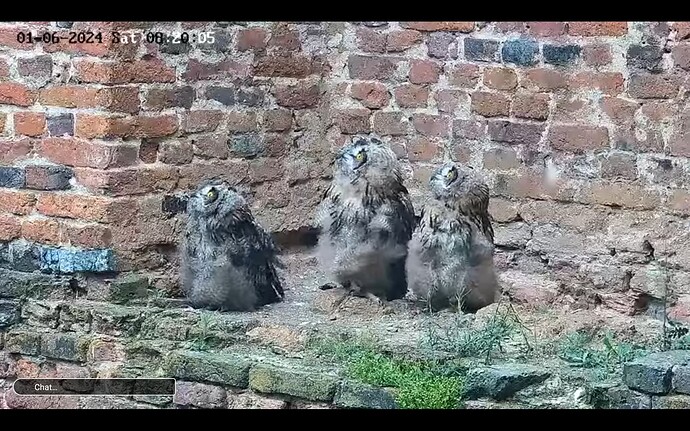 Screenshot_20240601-121528_YouTube