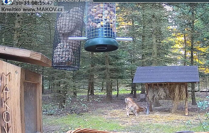 Snap_2023.10.31_08h21m34s_006_