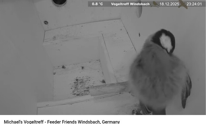 Screenshot_20251218-232425~2