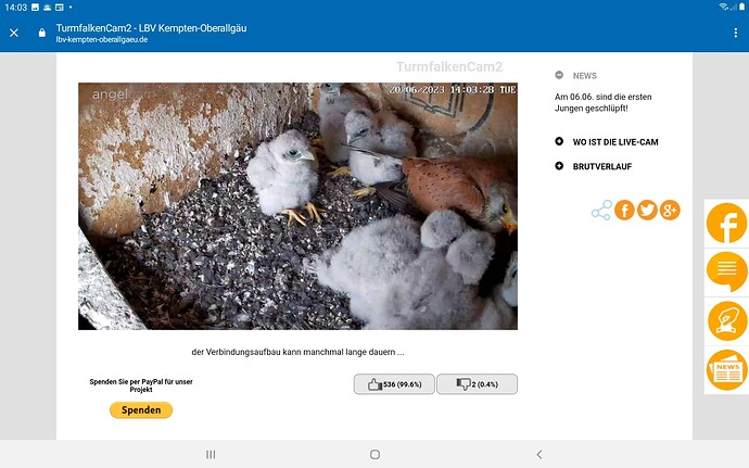 Screenshot_20230620-140349_Chrome