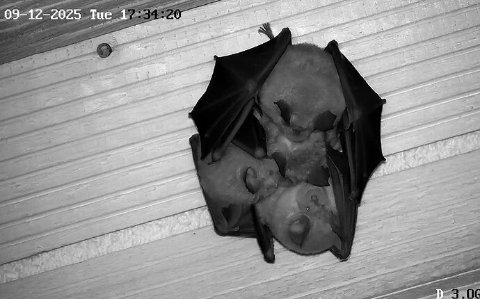 Vollbildaufzeichnung 09.12.2025 173420