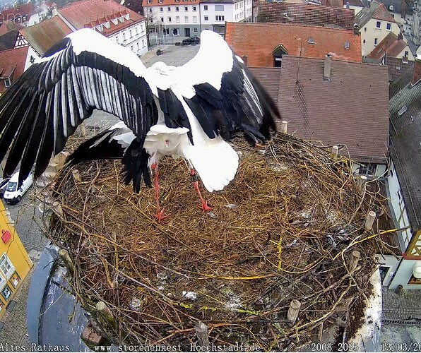 Screenshot_2025-03-13-07-26-21-425_com.android.chrome