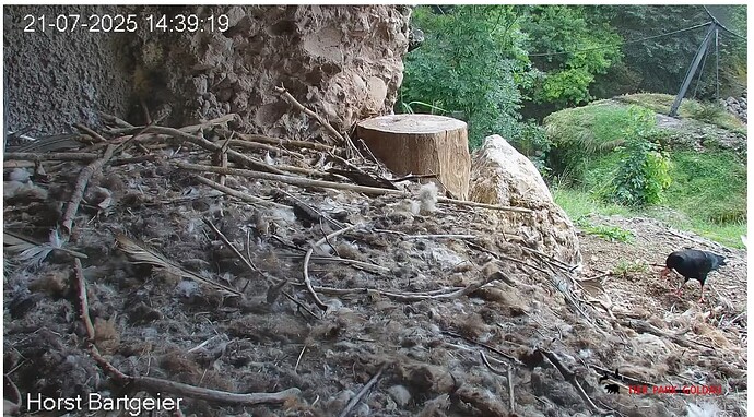 Screenshot_20250721-144020~2