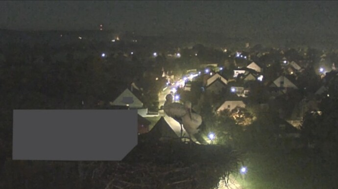 Screenshot_20241021-220319_DuckDuckGo