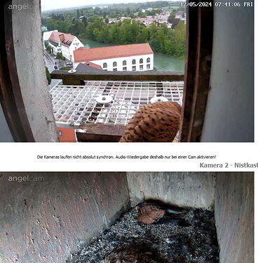 Snap_2024.05.17_07h41m43s_001_