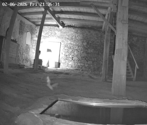 2026-02-6_3 ab 21.00 Tränke