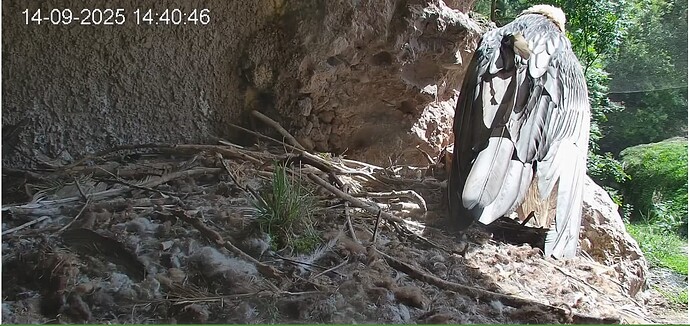 Screenshot_20250914-144155~2