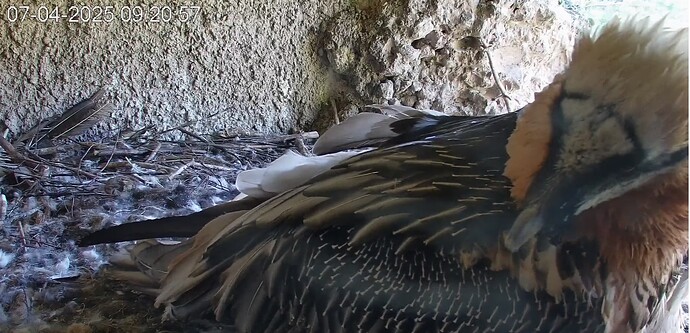 Mascha steht auf 07.04.25