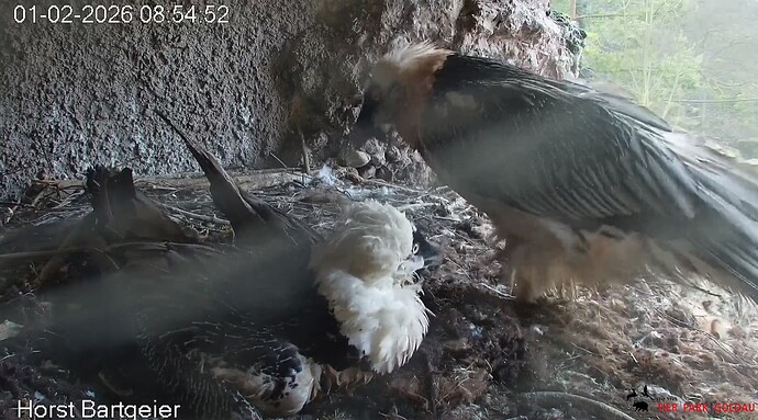 Mascha kommt 01.02.26