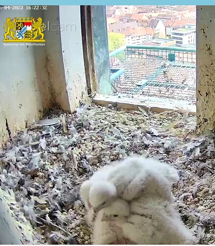 Screenshot_20230416-162255~2