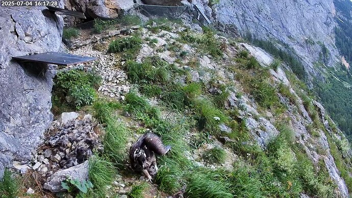 Bildschirmfoto vom 2025-07-04 16-17-55