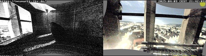 Screenshot (3136)