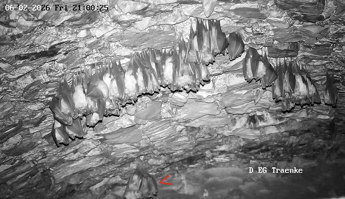 2026-02-6_1 ab 21.00