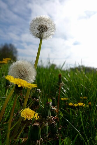DSC01947_2