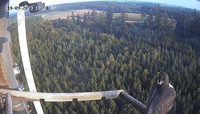 Screenshot_20230914_182236_Chrome