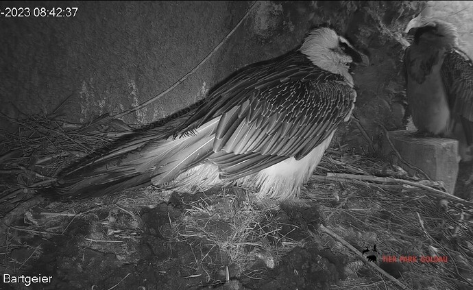 Screenshot_20231219_084307_Samsung Internet