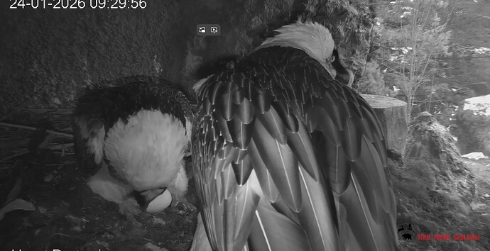 Erneuter Platztausch 24.01.26