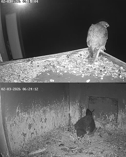 Screenshot_20260302_061750_Chrome