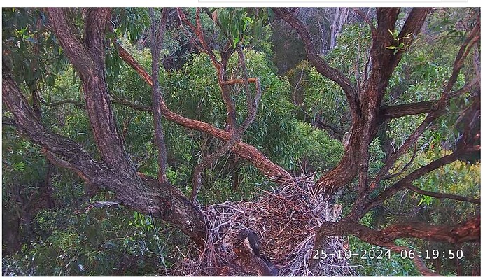 Screenshot 2024-10-24 230351