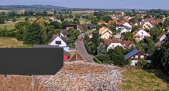 Screenshot_2025-07-10-07-58-29-575_com.android.chrome