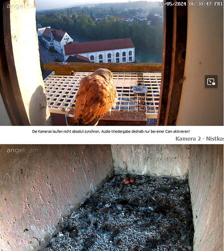 Snap_2024.05.10_06h31m14s_002_