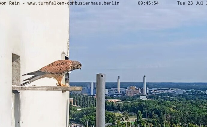 Screenshot_2024-07-23-12-15-00-945_com.google.android.youtube