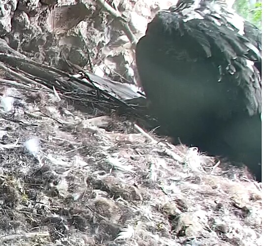 Screenshot_20240508-170457~2