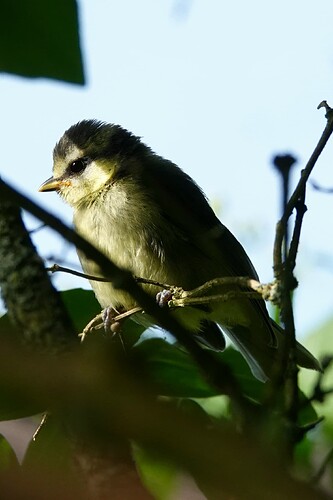DSC07220_1
