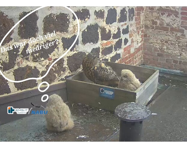 Screenshot_20230511_164831_Samsung Internet