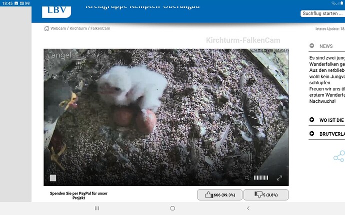 Screenshot_20230419-184534_Chrome