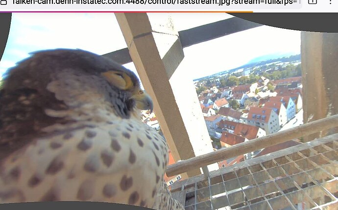 Screenshot_20251002-164053_Firefox~2