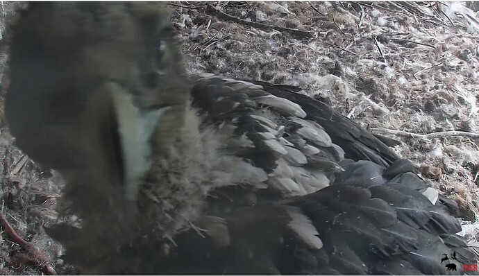 vor der Kamera 1 09.05.24