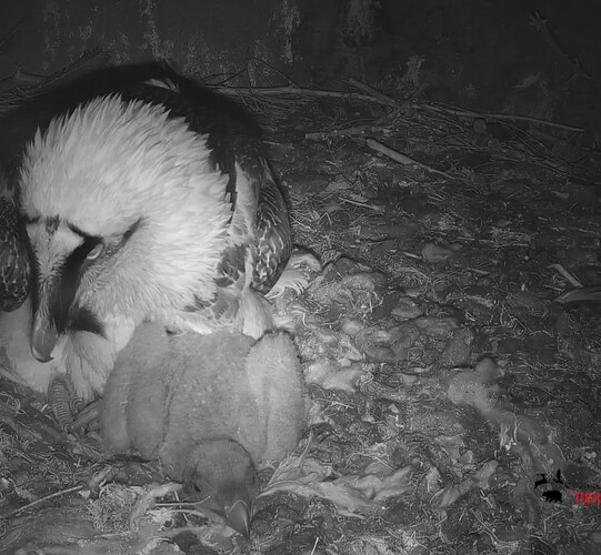 Screenshot_20240324_190602_Chrome