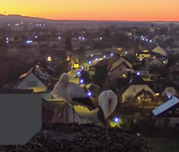 Screenshot_2025-12-28-17-19-49-729_com.android.chrome~2