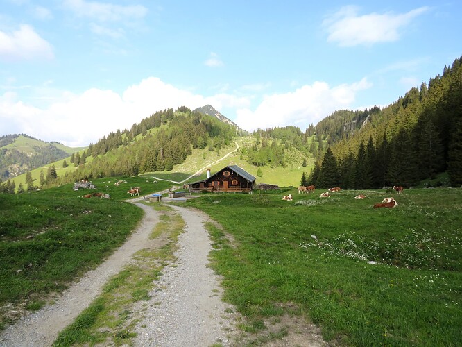 IMG_20230605_085333
