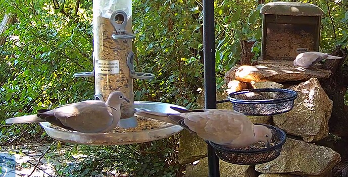 Mittagessen bei den Tütas 15.07.24