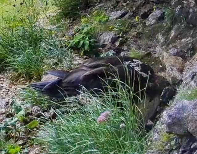 Screenshot_20250712-124158_Chrome~2