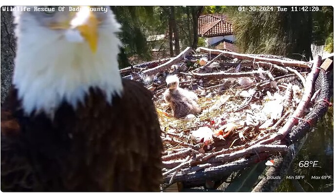 Screenshot 2024-01-30 175045