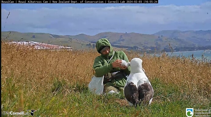 Screenshot_2024-02-03-07-00-22-008_com.google.android.youtube