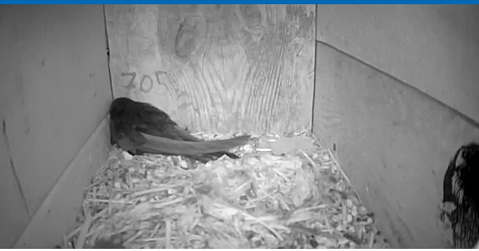 Screenshot_20250726-225429~2