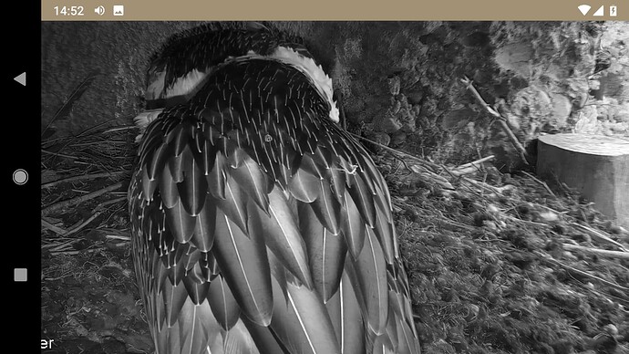 Screenshot_20230115-145213