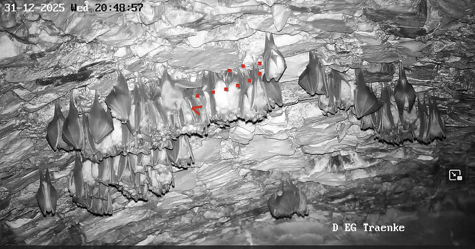 2025-12-31 ab 20.48_8a Weg zum Hangplatz ganz oben