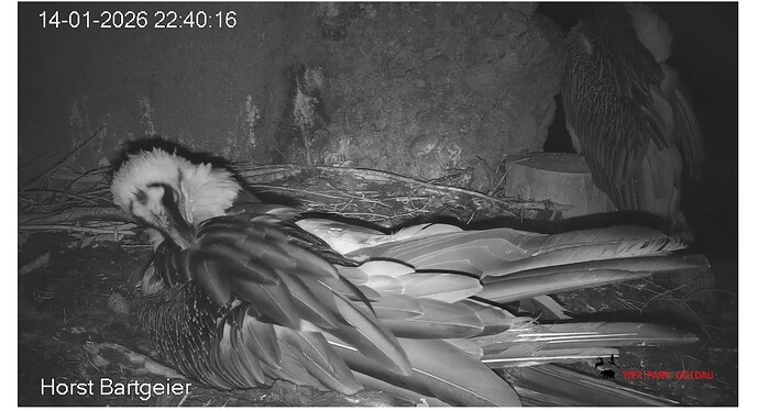 Screenshot_20260114-224121~2