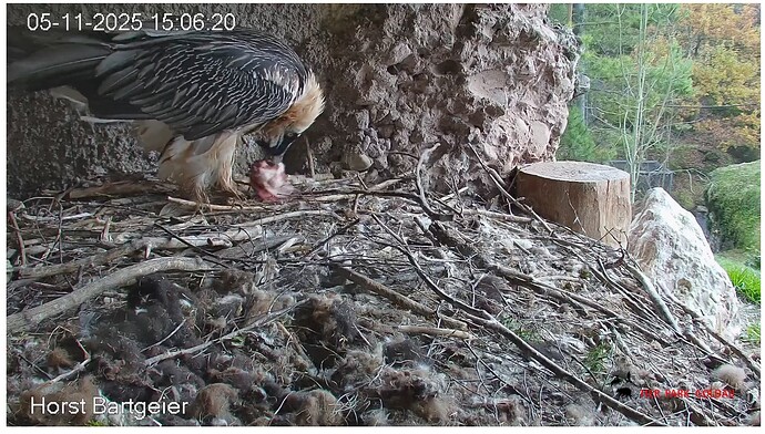 Screenshot_20251105-150724~2